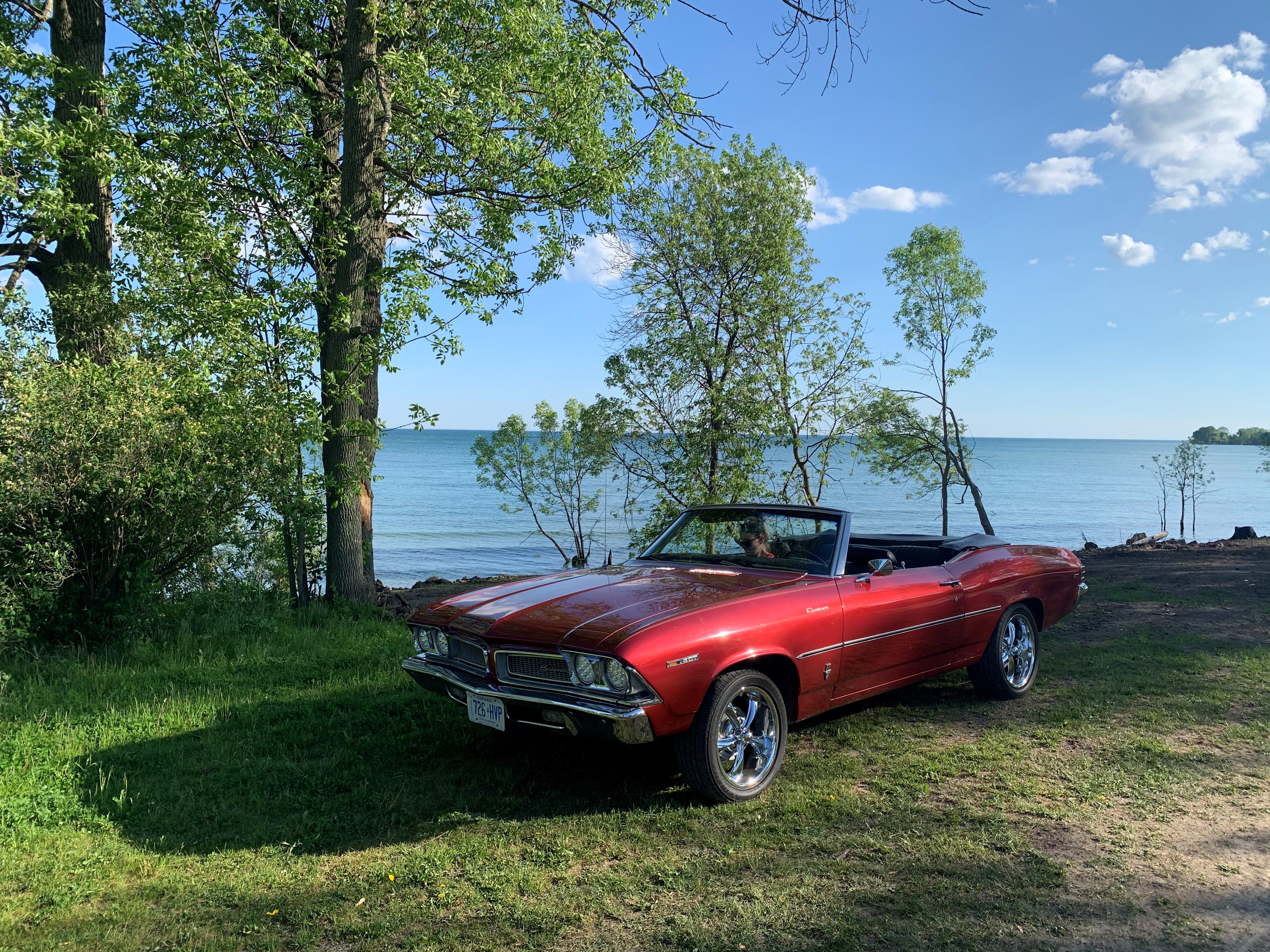 Scott Build original photo